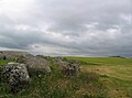 Some megaliths of Knockarea