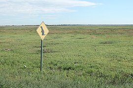 Prairie dog Rocky Mountain Arsenal.jpg