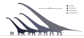 Mamenchisaurus Species Scale Diagram