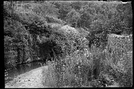 La Tordera en una zona boscosa (AFCEC ARMENGOL D 3123).jpeg