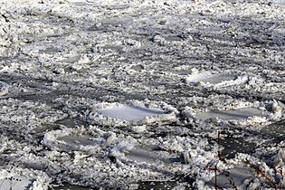 Pancake ice on the Missouri River