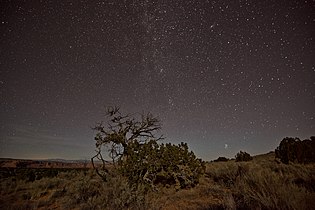 Stars at Cottonwood Cove