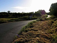 Towards Bentfield Bury - geograph.org.uk - 3350465.jpg