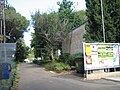 public park (left) and Beit Hecht (right)