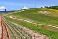 Hinode Park (Kamifurano Town) 日の出公園（上富良野町）