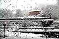 My window during a snowfall