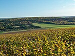 Vignoble de Montgueux / Vineyard of Montgueux