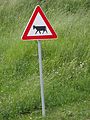 English: Street sign with a cow in Rateče, Slovenia