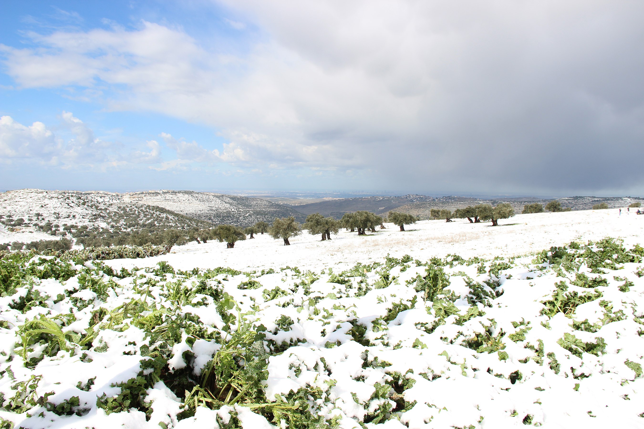 Snow in Beitillu by Ramadan9044