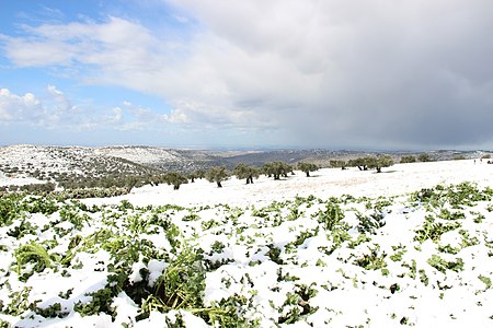 Snow in Beitillu by Ramadan9044