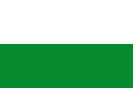 Flag white green 3x2.svg