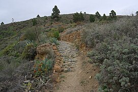 Camino de Las Vegas - panoramio.jpg