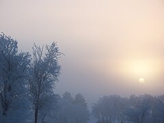 Mist Shrouded Morning in North Dakota by Victoria Lee Croasdell.jpg