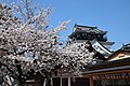 Okazaki Castle / 岡崎城