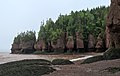 * Nomination Hopewell Rocks, New Brunswick, Canada. --The Cosmonaut 01:11, 30 April 2020 (UTC) * Promotion  Support Good quality. --XRay 03:01, 30 April 2020 (UTC)