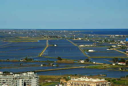 Ebro Delta from La Guardiola © Maria Planas Aulet