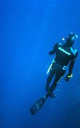 Freediver.jpg