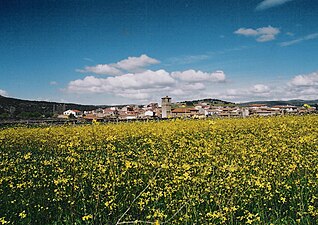 Malpartida de Corneja