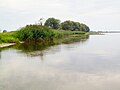 The Oder River near Güstebiese, view north