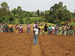 Kasheke Farmer School.jpg