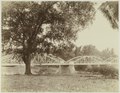 1910s - Bridge over the Solo near Madioen