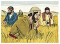 Matthew 12:01-8 Conflict over eating grain on the Sabbath