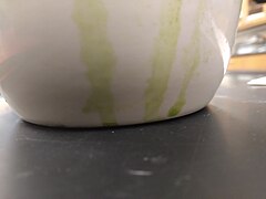 Spinach chromatography 20211026 093030.jpg