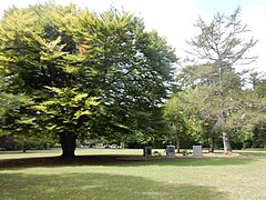 Weingartner Park, North Wales, PA 01.jpg