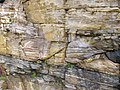 Cross-bedded, bitumen-stained sandstone, Lower Eday Sandstone, Middle Devonian, Orkneys, UK