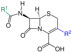 Cephalosporine 1.Generation V1.svg