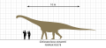 Cetiosauriscus Scale Diagram