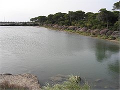 Lugar a ejecutar Barrera de sedimentos provisional y permanente en el Caño de La Cortadura. - panoramio.jpg