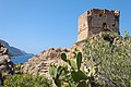 The tower of Porto, Corsica Category:Genoese towers in Corsica