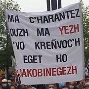 Giton manifestadeg evit ar brezhoneg.jpg