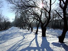 Volgodonsk, Rostov Oblast, Russia - panoramio (2).jpg