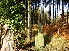 Wegkreuz am Waldesrand - panoramio.jpg