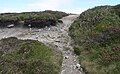 Crozon : creusement d'un sentier par destruction de la terre de bryère en raison du piétinement près du Cap de la Chèvre