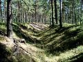 Remains of wartime dugouts in the forest just to the east of Hanko