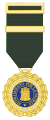 Suffering for the Motherland Medal - Deceased or Missing Relatives (Abolished)