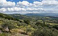 88 Olive Groves Fields Spello Umbria Sep23 A7C 07785 uploaded by Tagooty, nominated by Tagooty,  9,  1,  0