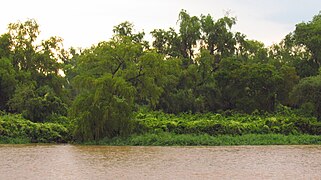 Paraná, Entre Ríos, Argentina - panoramio (449).jpg