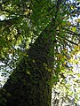 Seymour Valley, Vancouver, BC