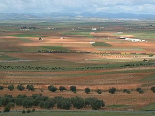 Paisaje manchego/ La Mancha's Landscape