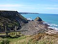 Basset's Cove, Crane Islands & Godrevy in the background