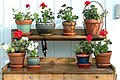 Potting bench