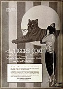 The Tiger's Coat (1920) - 2.jpg