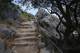 Benaoján, 29370, Málaga, Spain - panoramio (21).jpg