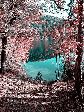 Small Lake of Monticolo photo