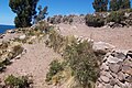 Andenes en la ladera de la isla