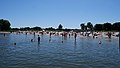 Beach Veluwemeer (Zeewolde)